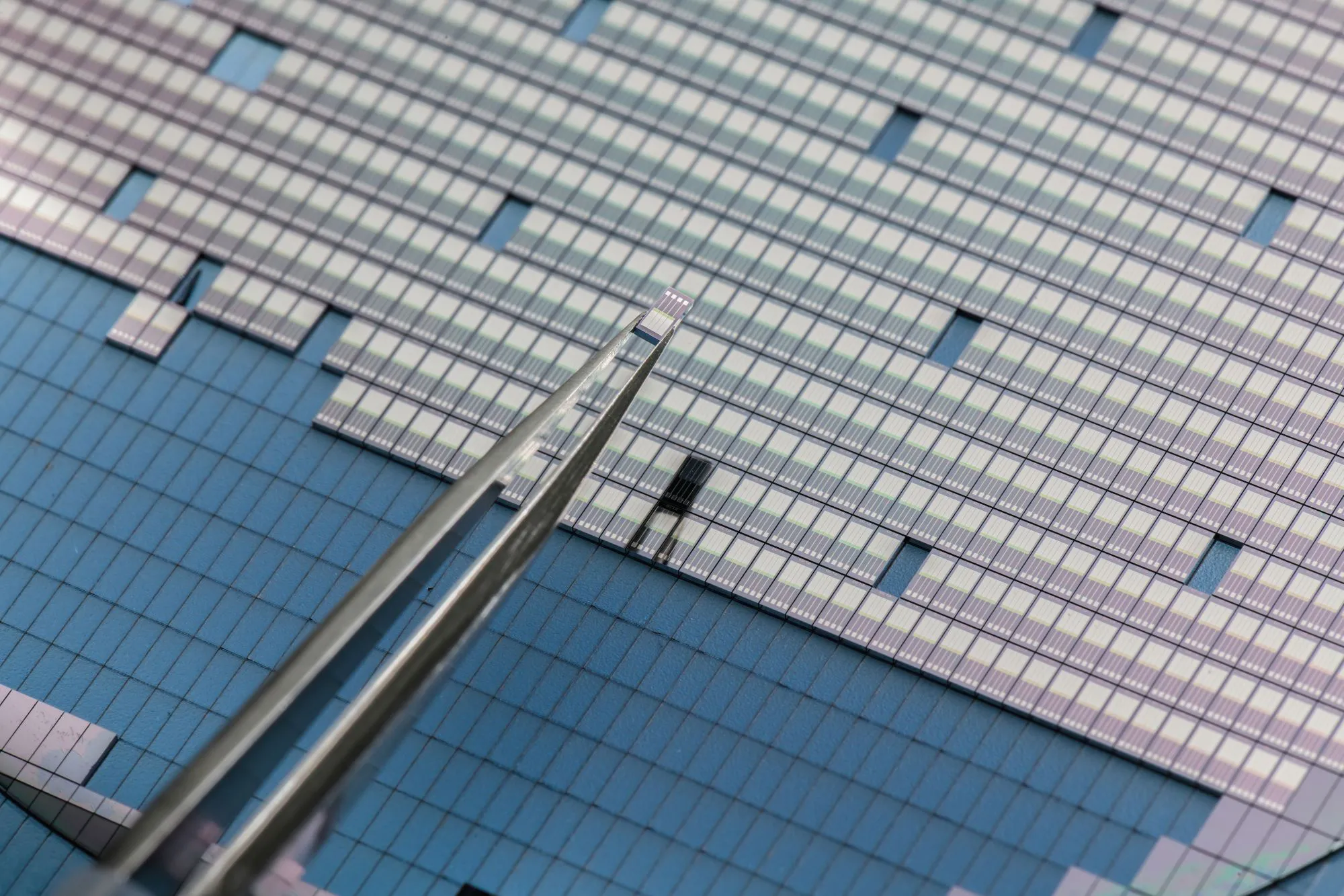 A Millar ISFET pH sensor on a microchip wafer in Millar’s microfoundry. 