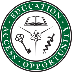 Ephicient logo