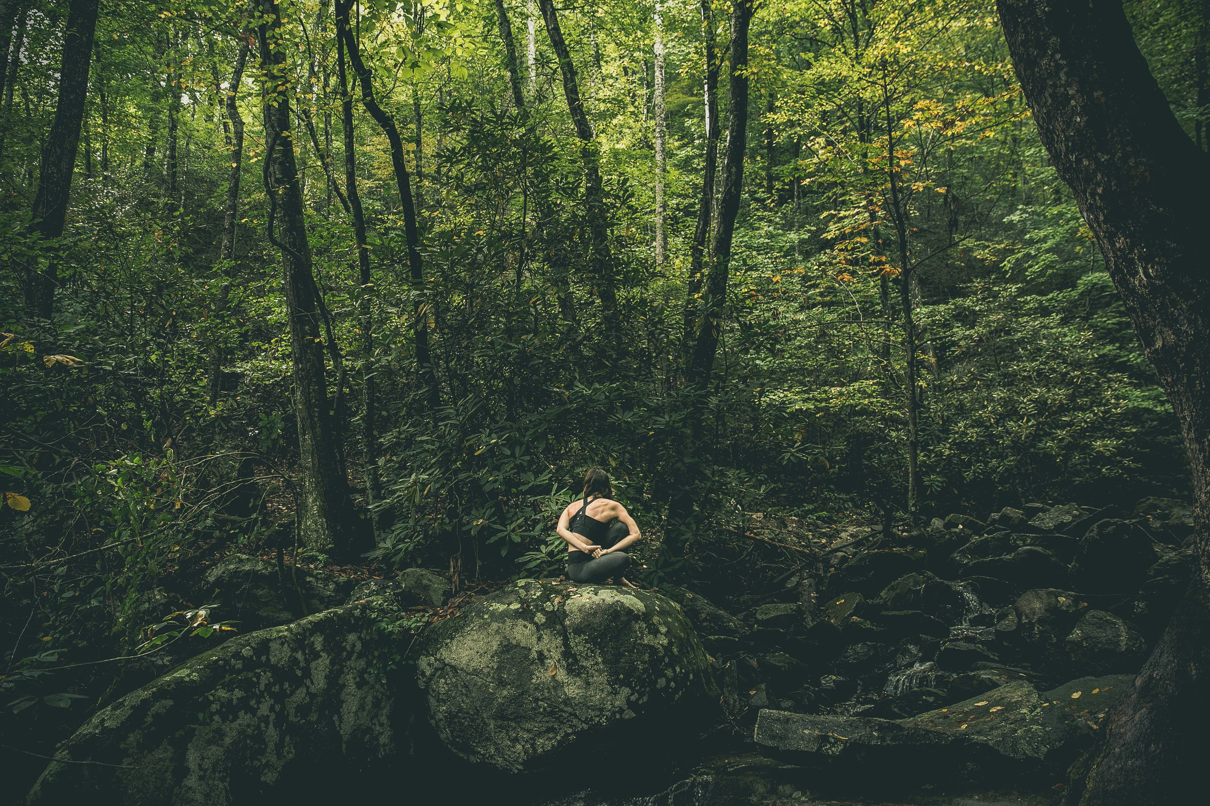 A serene forest scene with a contemplative girl sitting on a rock.