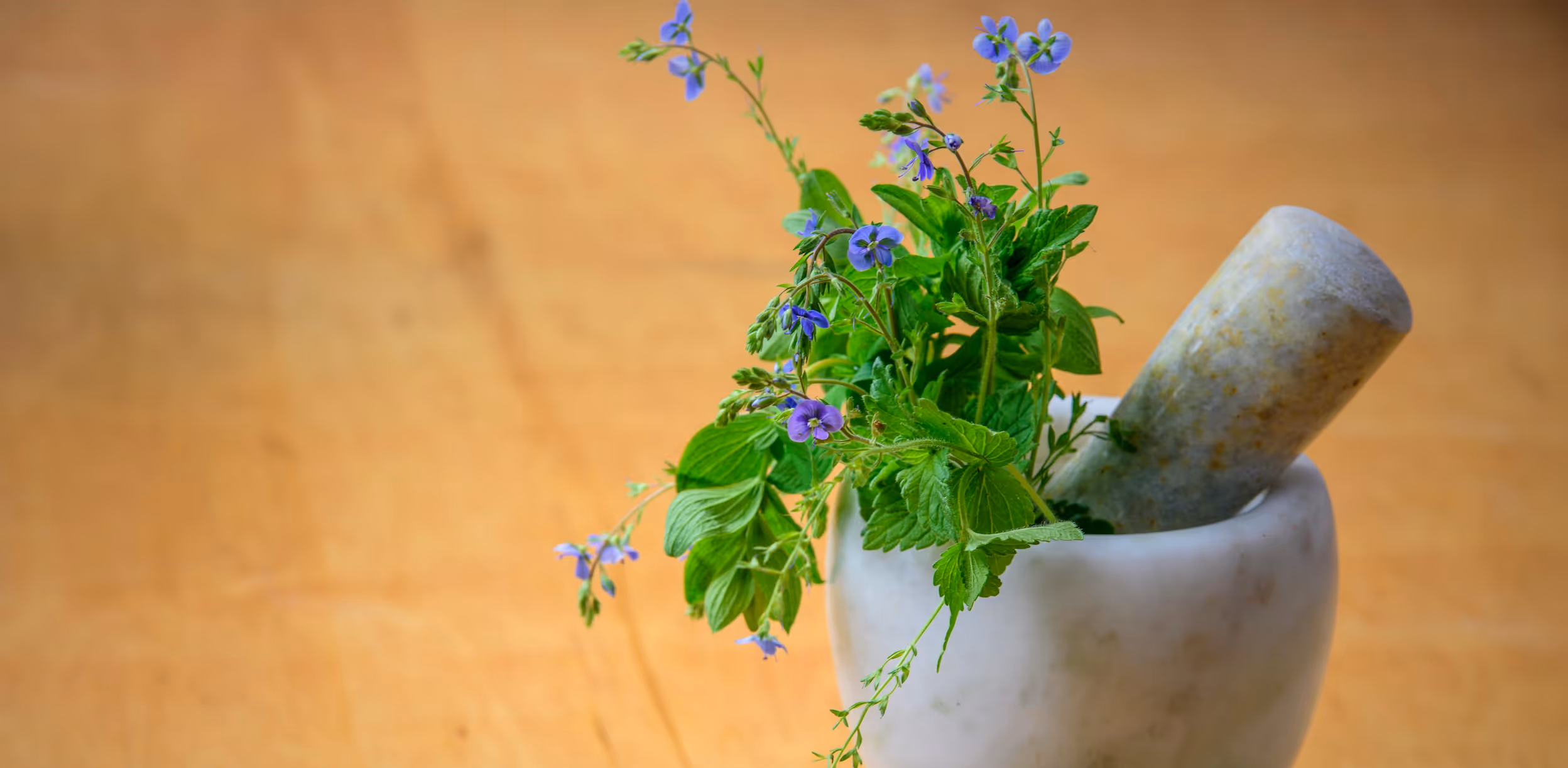 Mortor and postle with herbs