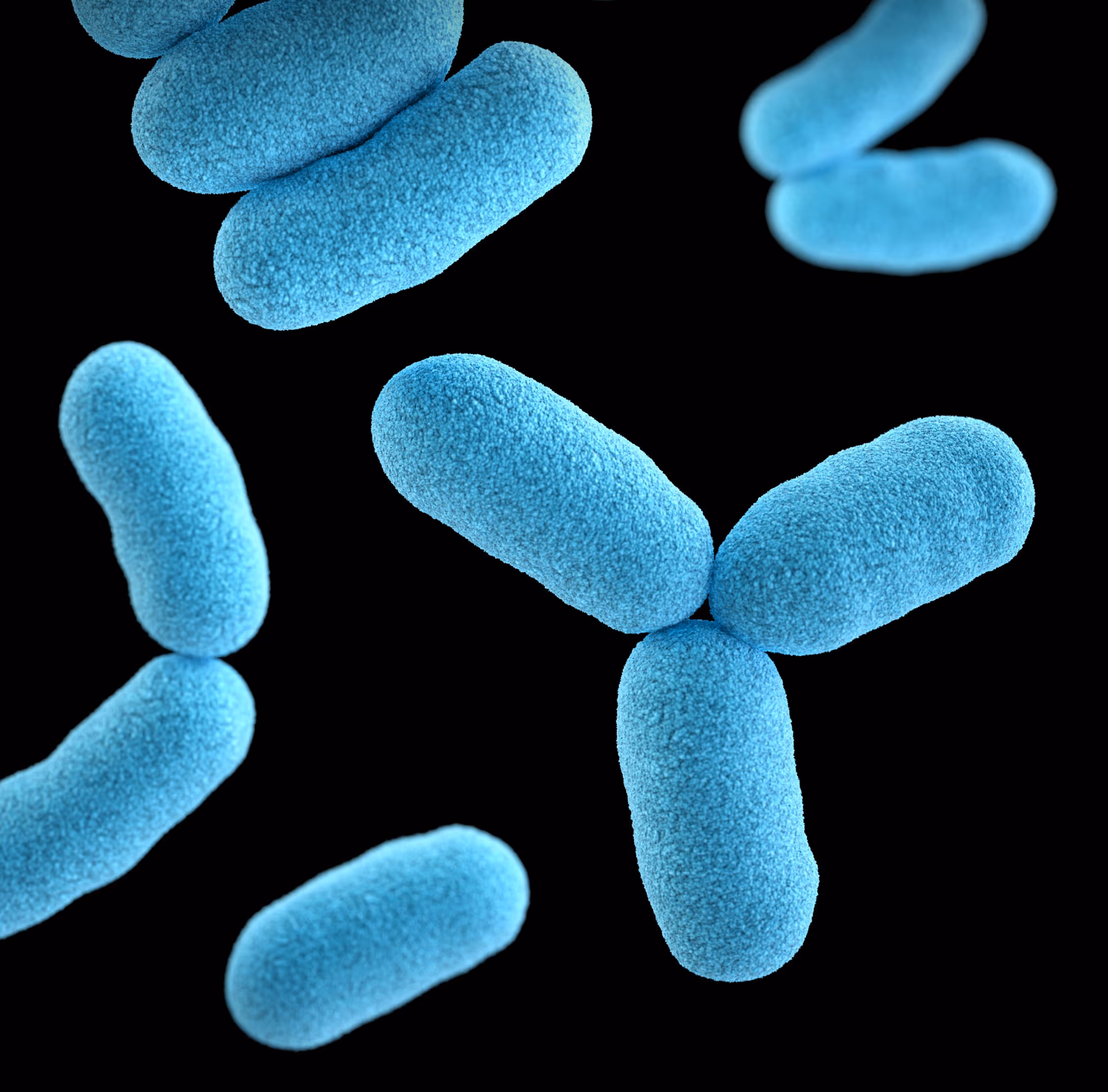 blue bacteria