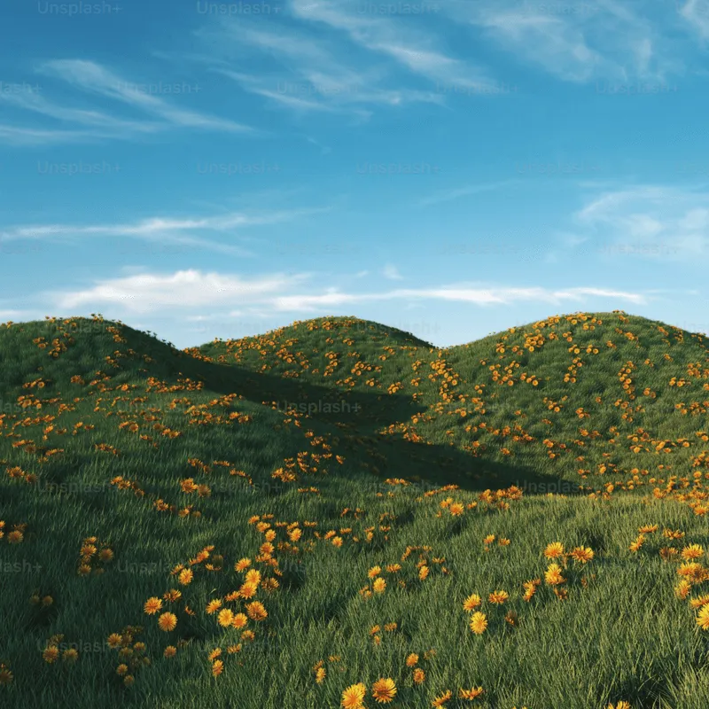 Nature Image