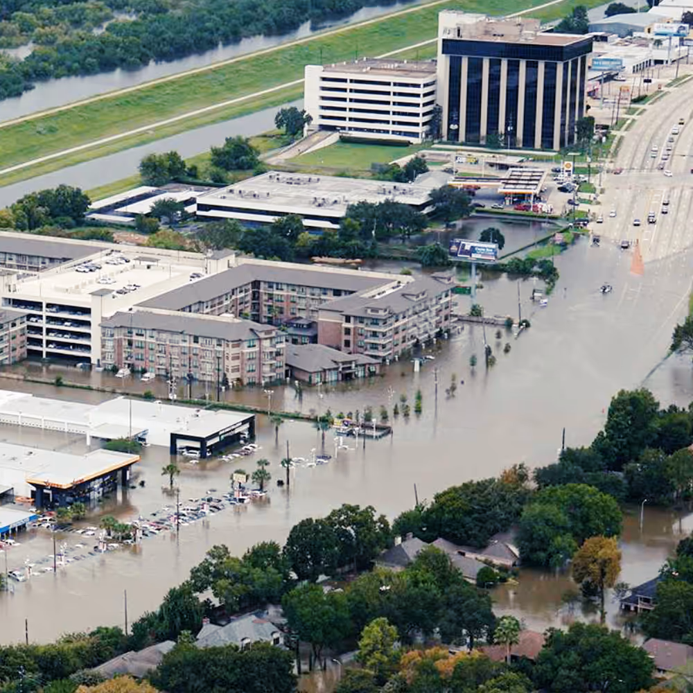 businesses flooded