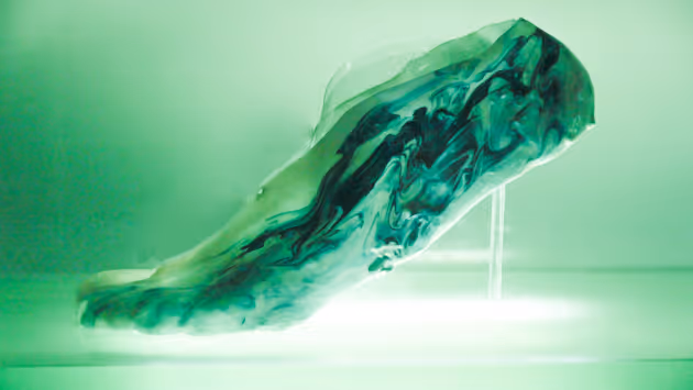 Protocells – žijící technologie