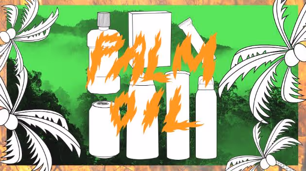 Jana Klápová: Polovina balených potravin v našich supermarketech má zvláštní pachuť. Víte proč?