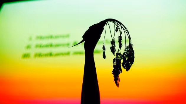 Tereza Lišková: Kebab pro Tomia a Čechy Čechům? Odpovědí na xenofobii může být i mrkev v rohlíku