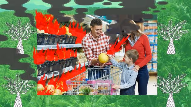 Christine Doležalová: Svět je svědkem rozsáhlé ekologické katastrofy – stojí za ní i palmový olej