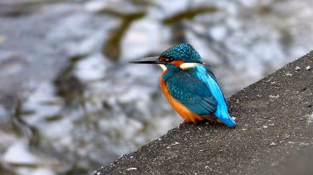 čtverO zázračných povrchů, které proměnily sklo