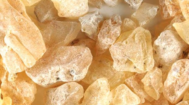 Kopál – všestranná míza stará tisíce let