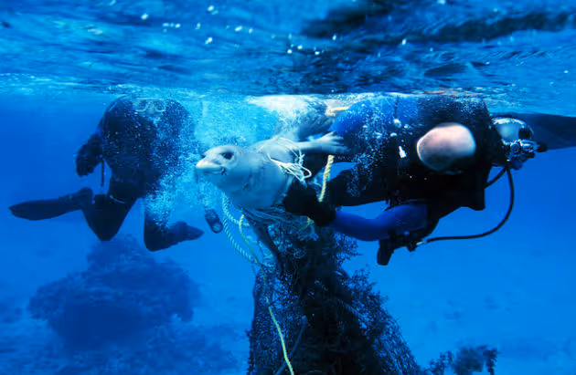 Oblečení z materiálu špičkové kvality jako cesta k čistějším oceánům