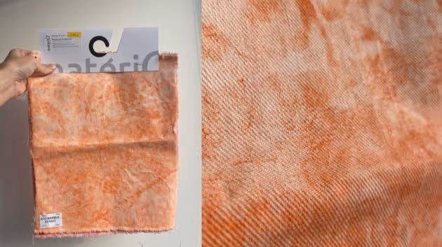 Materiály roku 2023: Slunečnice na tisíc způsobů nebo bioplast z mořských řas