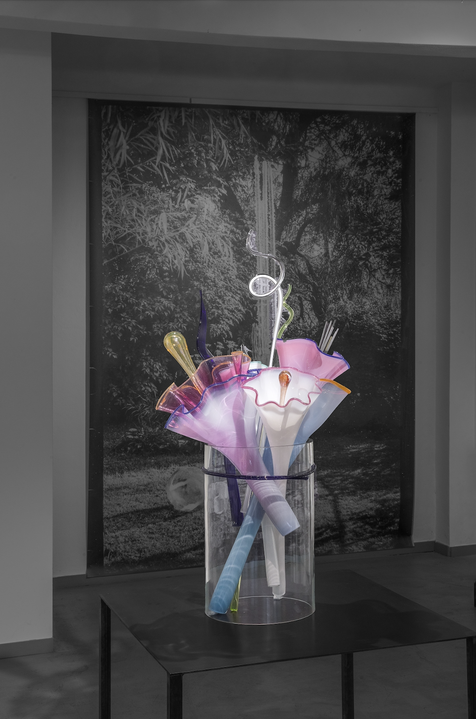 Tvůrčí světy Miluše a Reného Roubíčkových