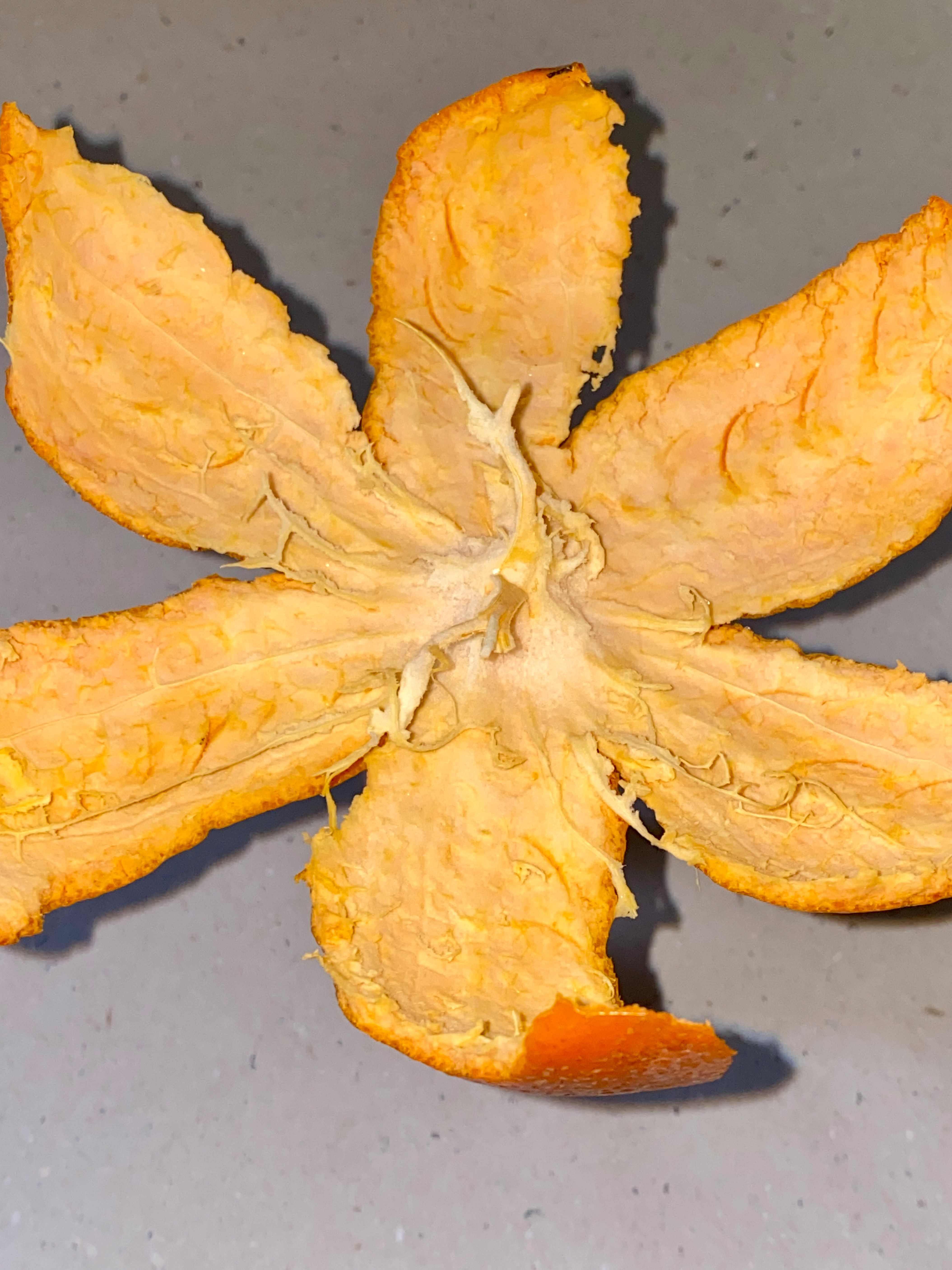 Rozhovor s Michaelou Doležalovou o světle, materiálu a hledání vlastního přístupu mezi designem a uměním.