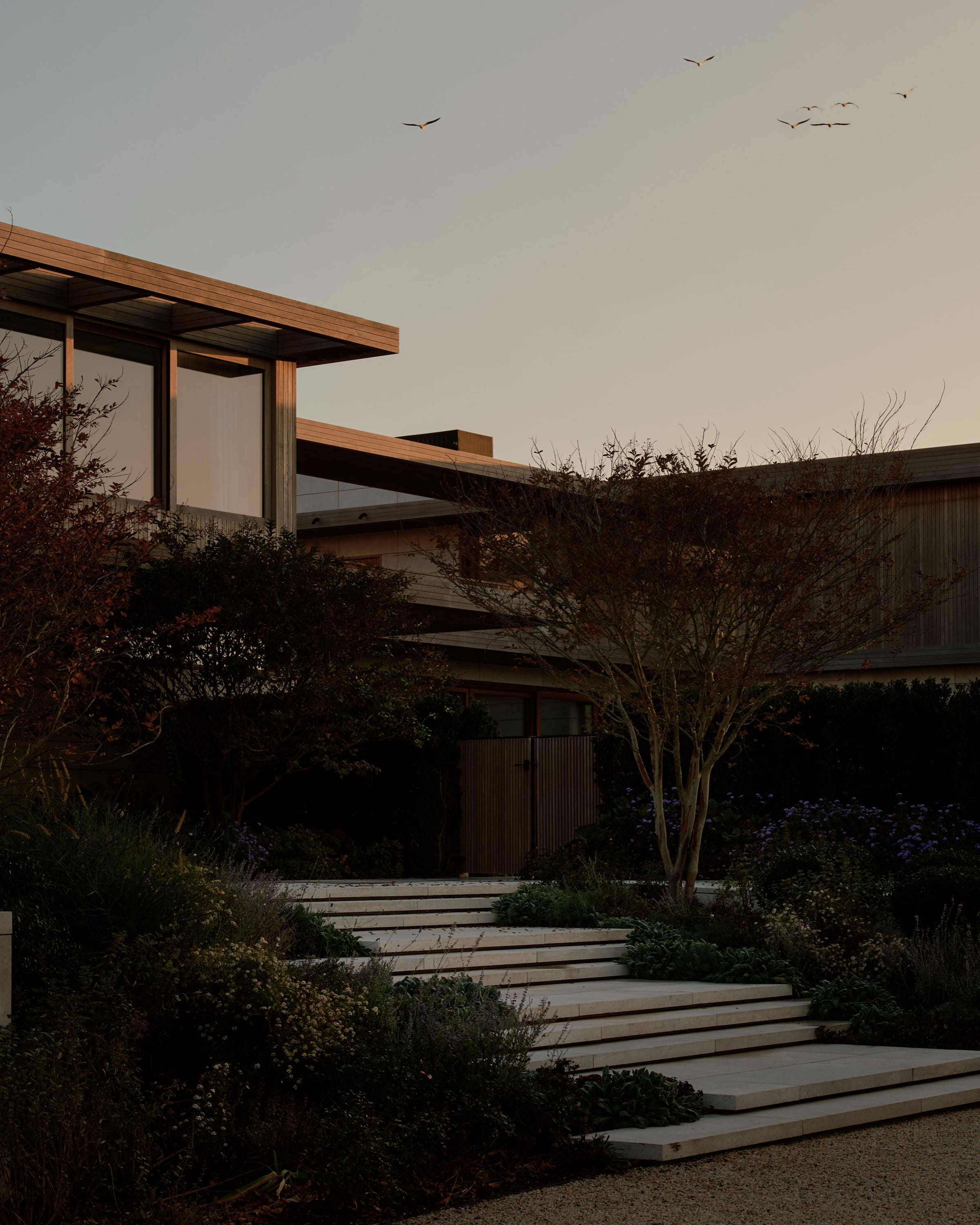 Modern house exterior at dusk with landscaping.