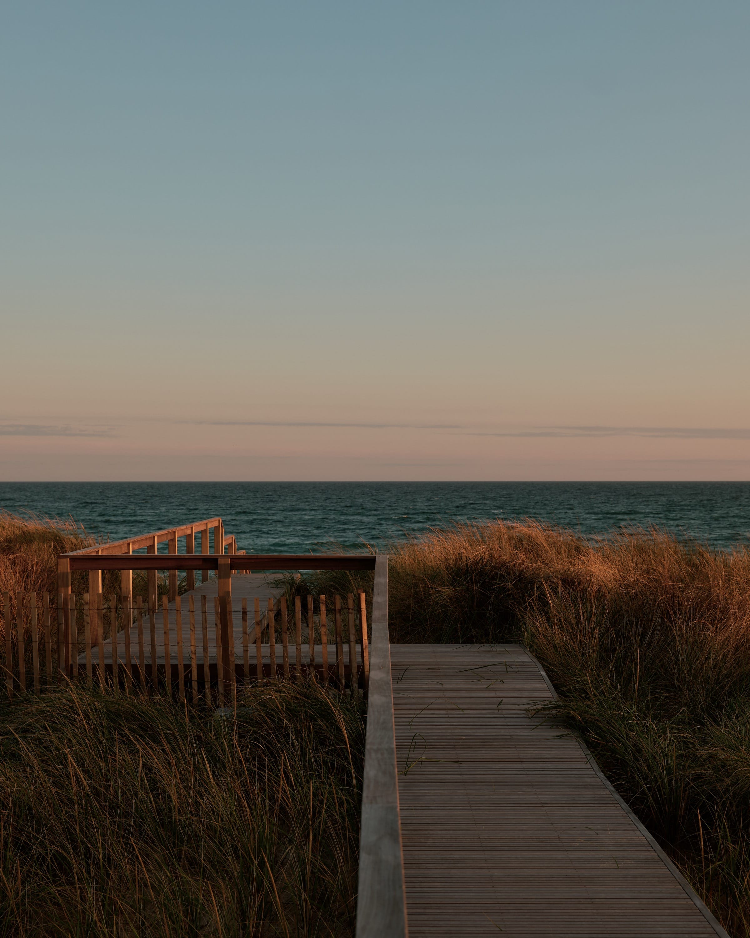 Pathway through dunes with ocean backdrop.