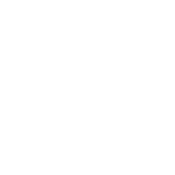 Lifetime Miami Marathon and Half Logo
