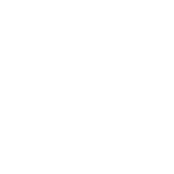 Fortune International Group Logo