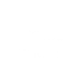 Corona Premier Logo