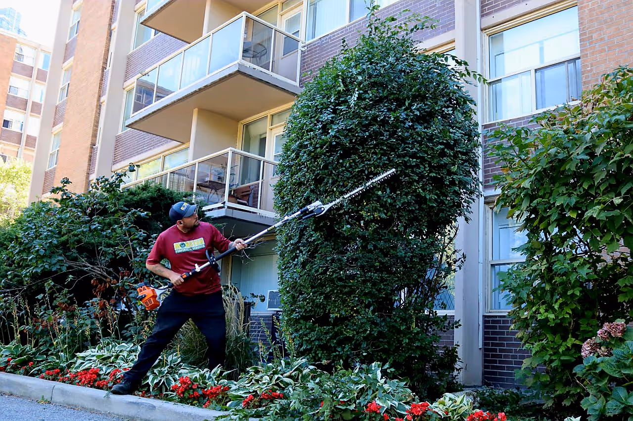 Monster crew at work on a GTA property, October 2025