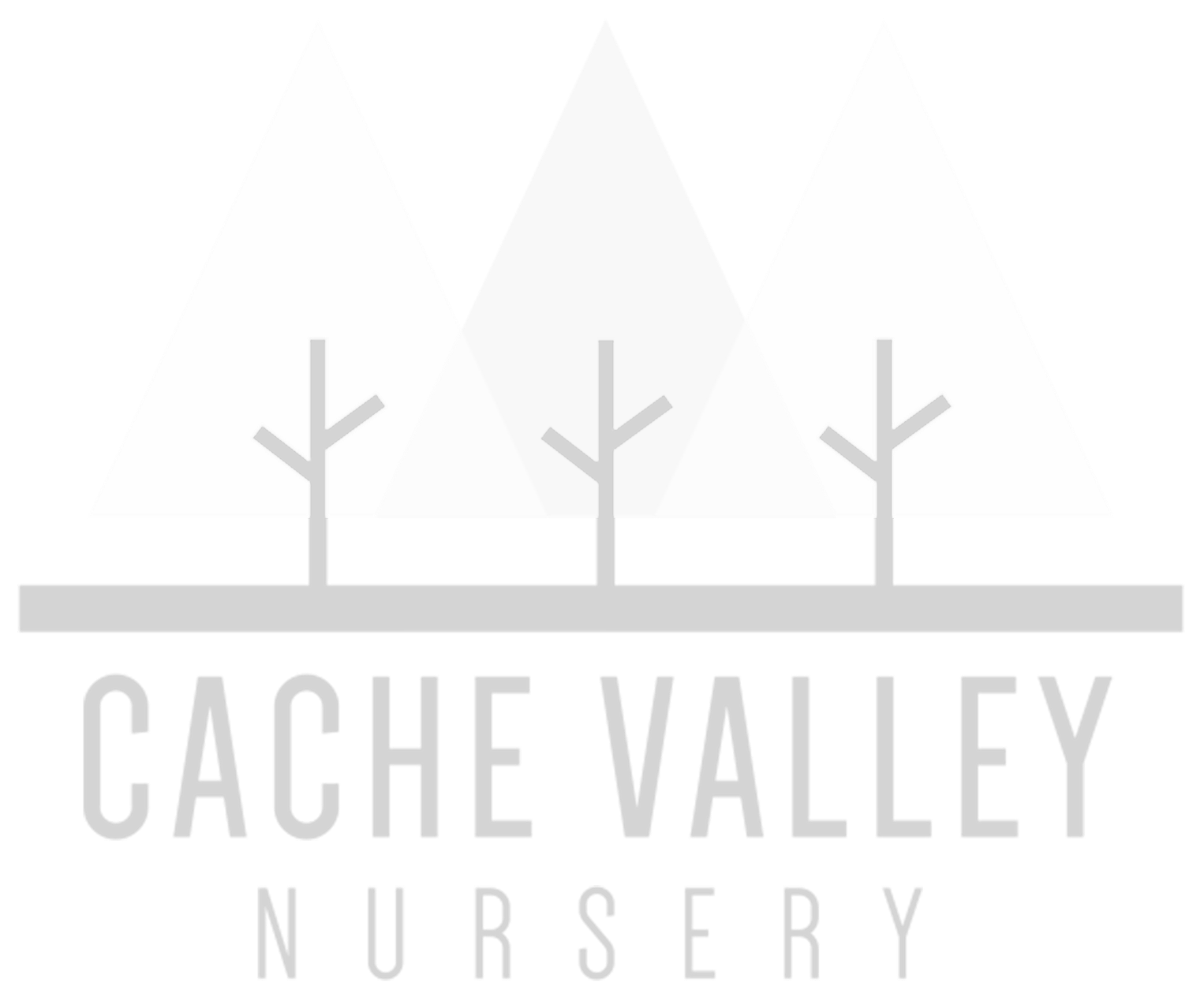 Cache Valley Nursery logo featuring three stylized white pine trees with bare branches over a horizontal line and the business name below.