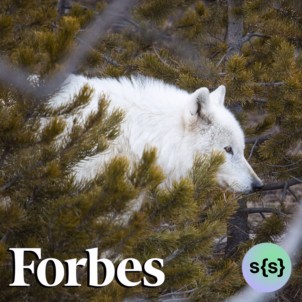 Forbes: Why A Collaborative Approach Trumps "Lone Genius" In Company-Building