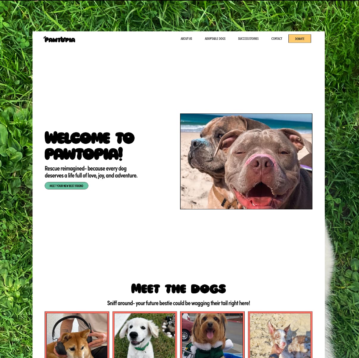 a screenshot of the hero section of Pawtopia website