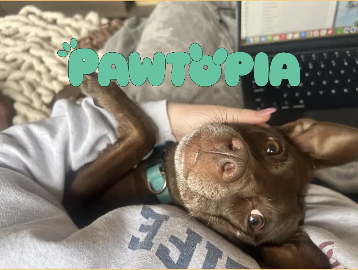 Pawtopia primary logo on top of image of a chocolate lab laying down