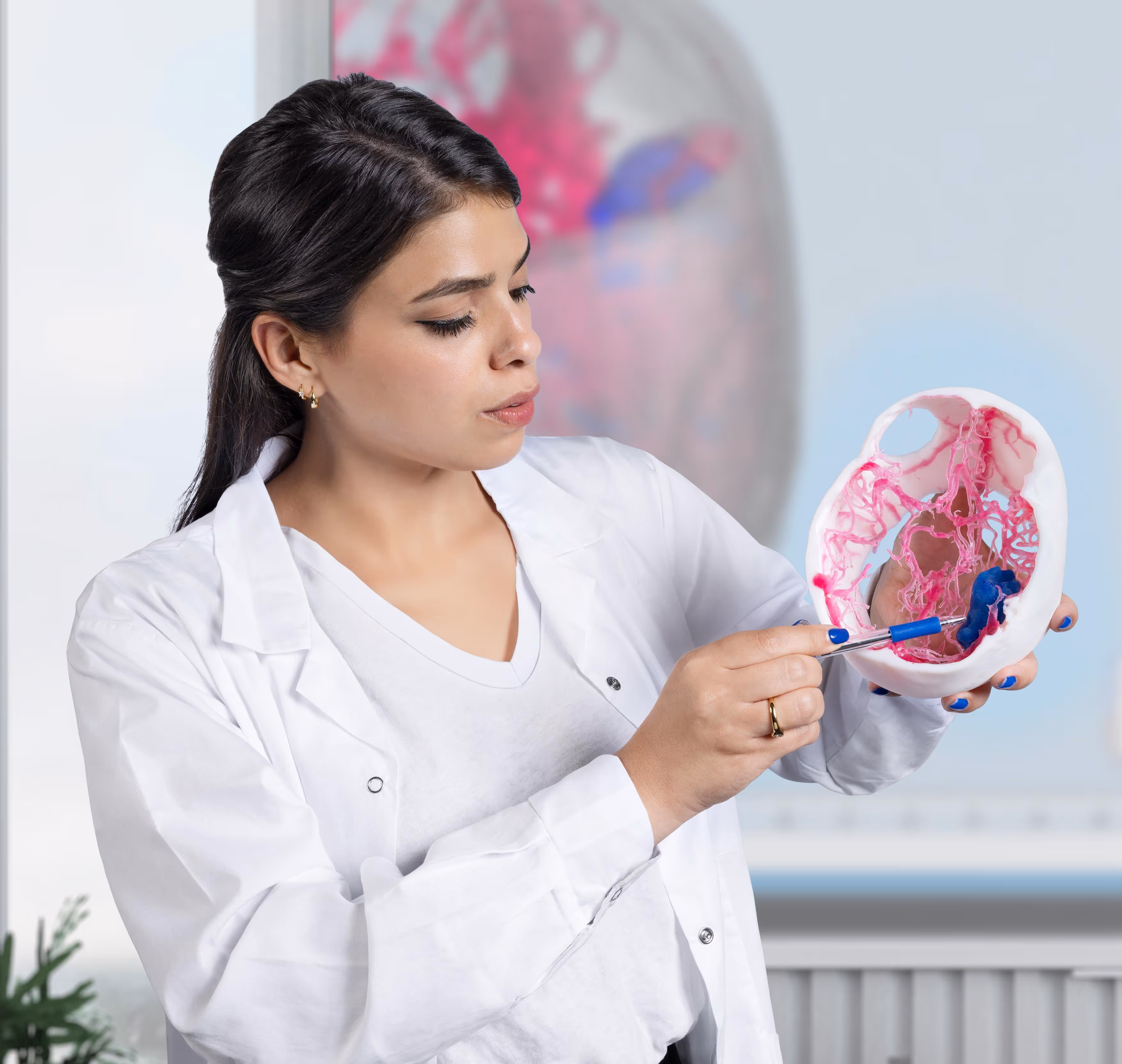 Female scientist in a white lab coat holding and pointing to a pink and blue anatomical 3D model with a pen.