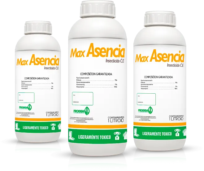  Max Asencia