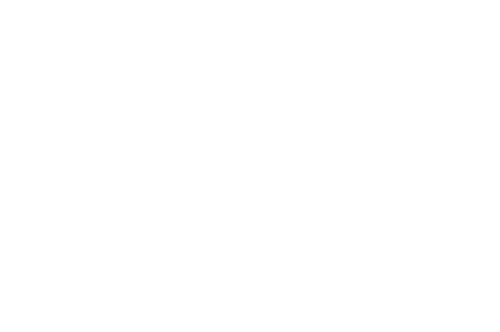 Official Selection: Las Vegas Film & Screenwriting Festival 2024