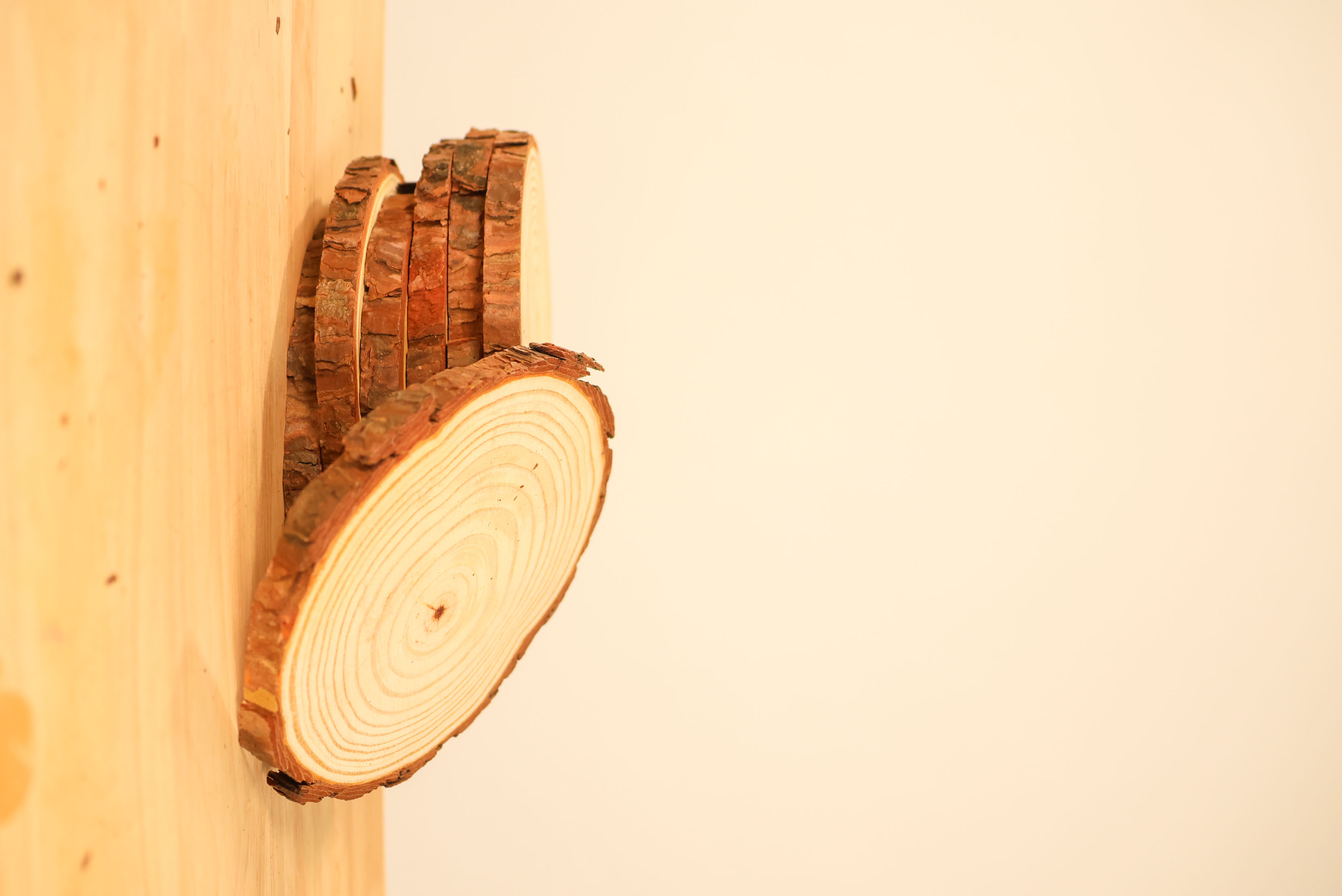 A stack of wood disks on table