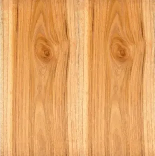 image of a school campus (for a edtech)