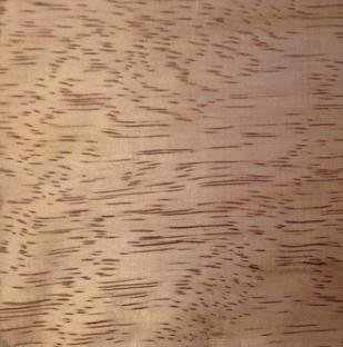 image of a school campus (for a edtech)