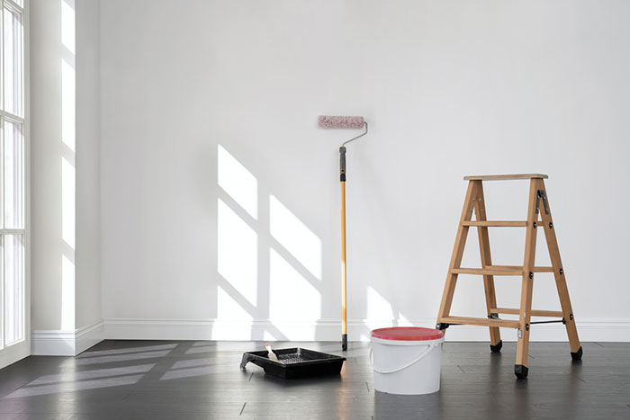 Plastering & Painting