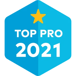 Top Pro 2021 award