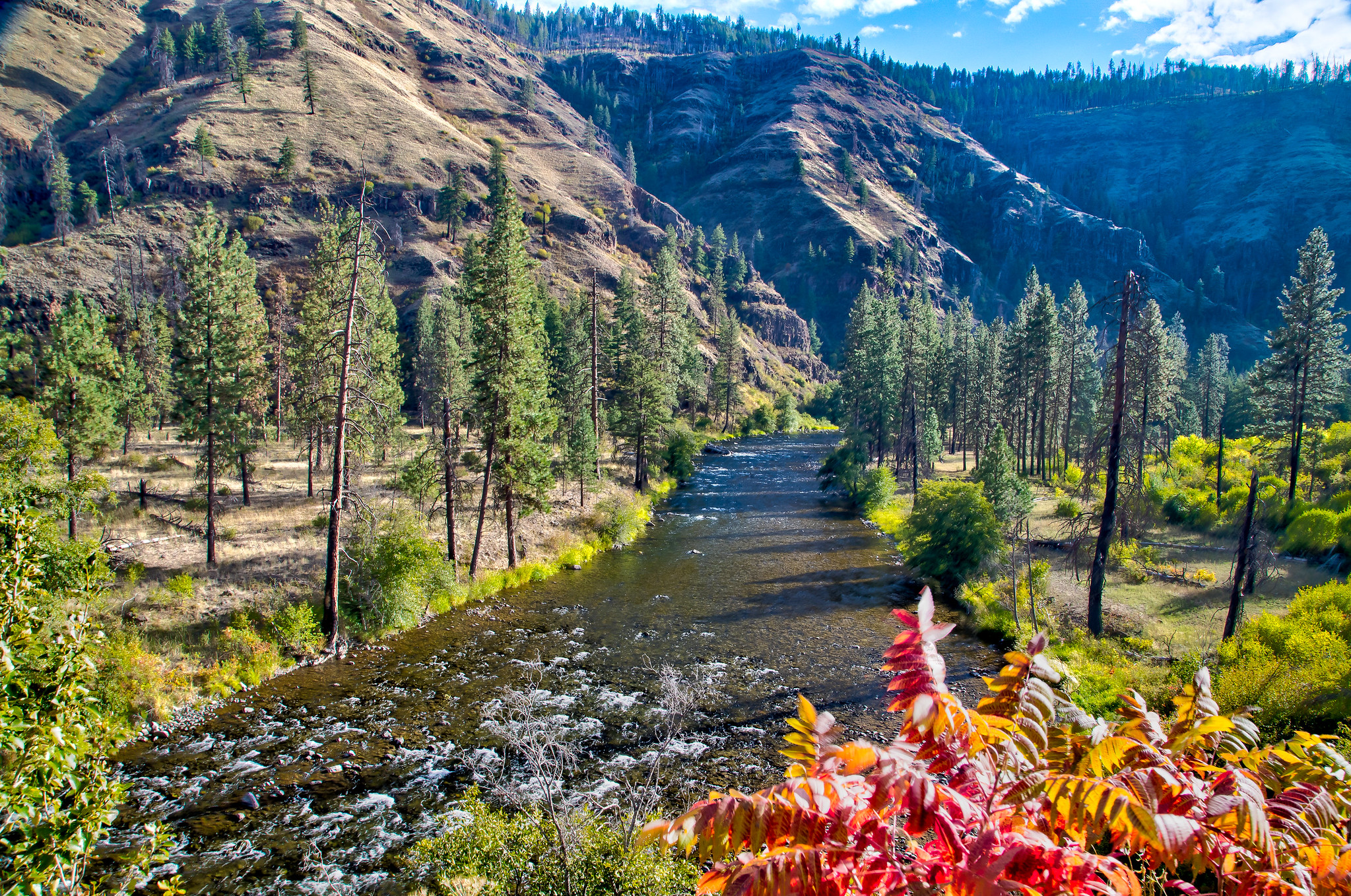 image of an inspiring natural landscape for a film production company