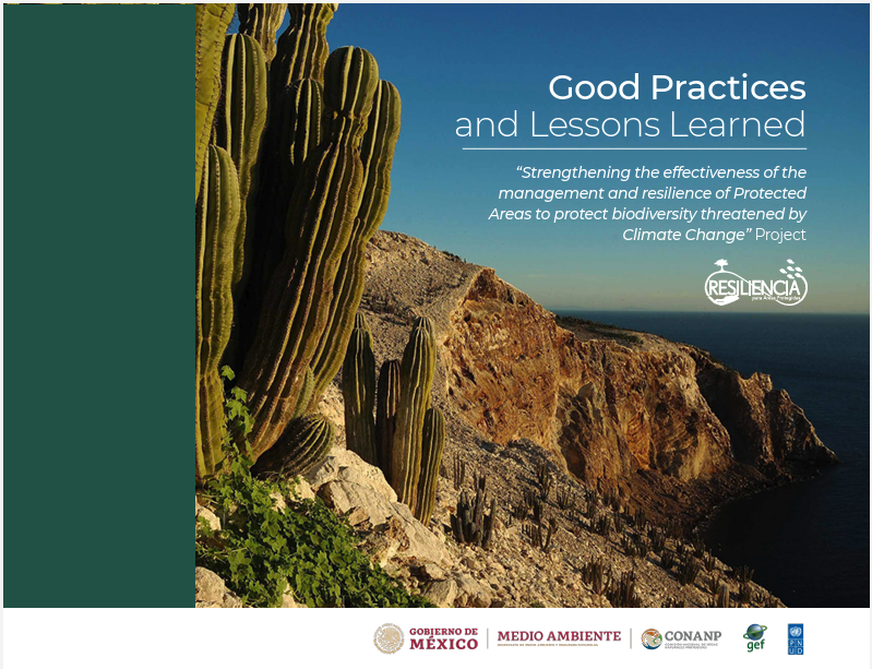 Cacti growing on rocky cliffs by the ocean with text about good practices in protected area management.