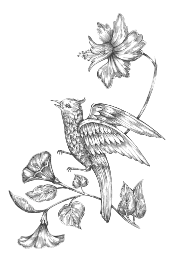 Anne-Lise B Illustratrice - Composition fleur et oiseau