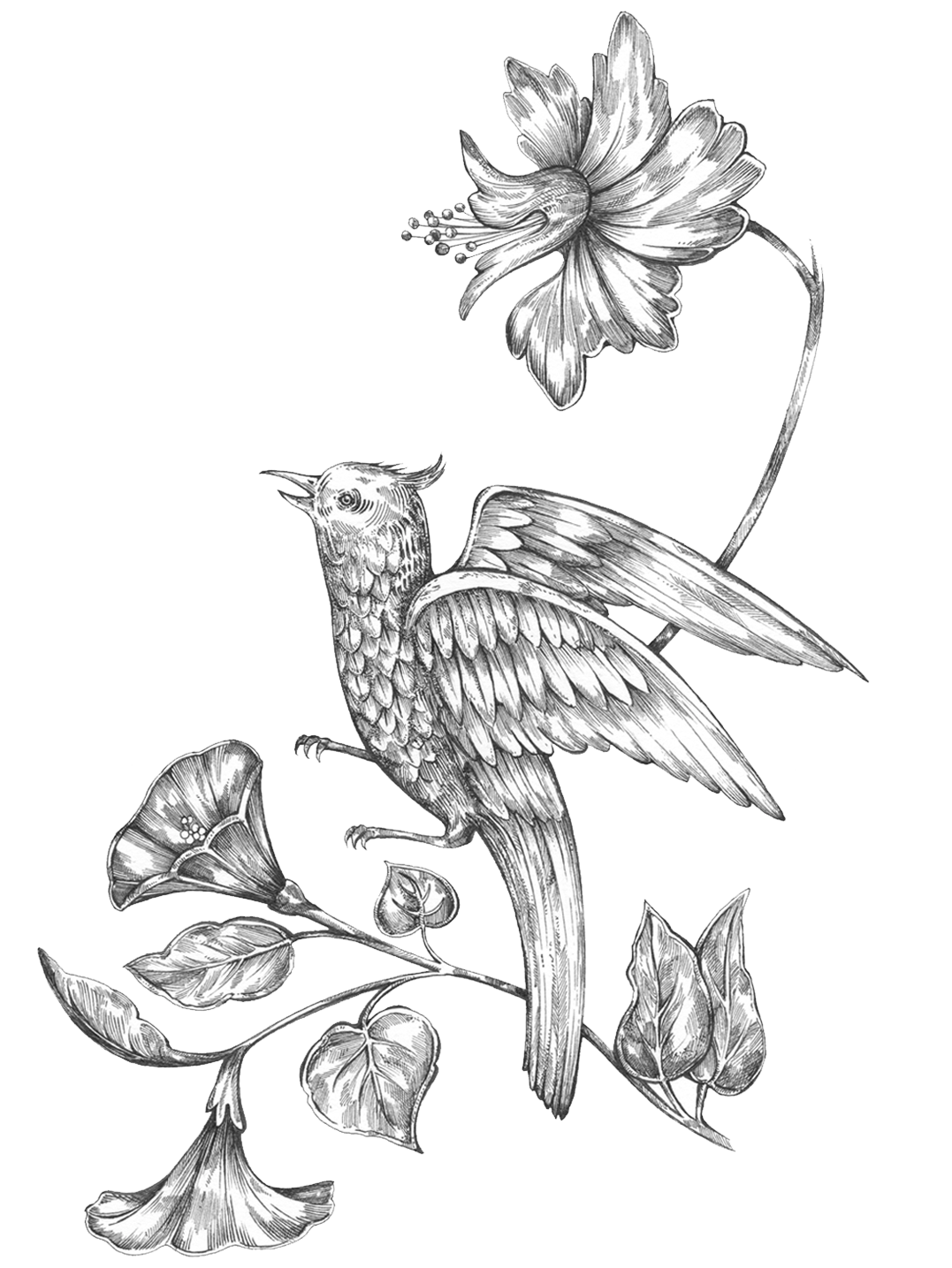 Illustration au trait d’un oiseau perché parmi des fleurs épanouies, dessin fin et détaillé en noir et blanc.