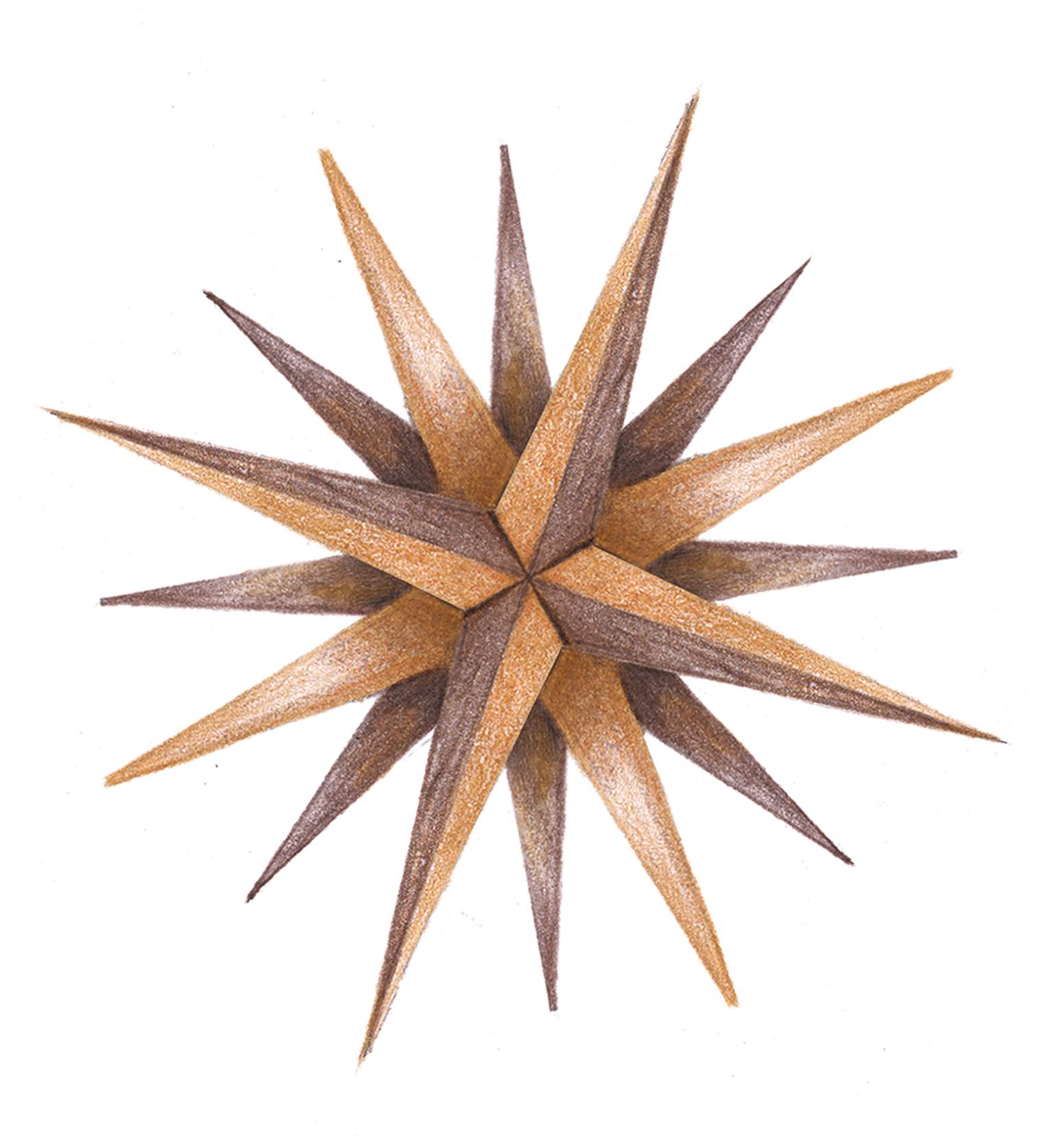 Illustration colorée d’une rose des vents stylisée, aux pointes dorées et brunes, symbole d’orientation et de voyage.