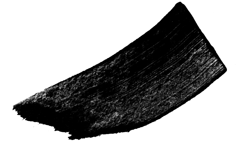 Tracé noir oblique et texturé, empreinte artistique évoquant un coup de pinceau expressif.