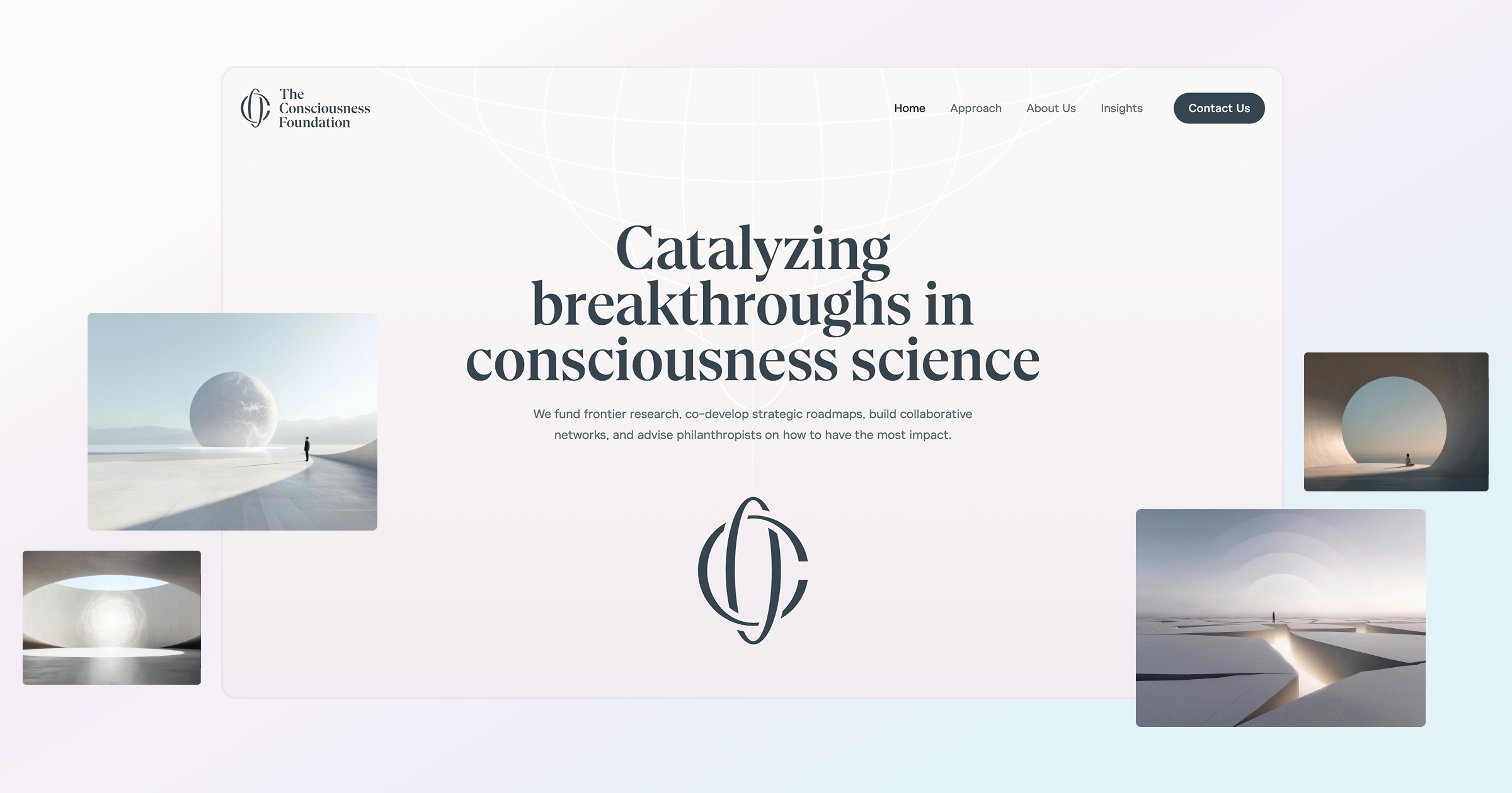 The Consciousness Foundation