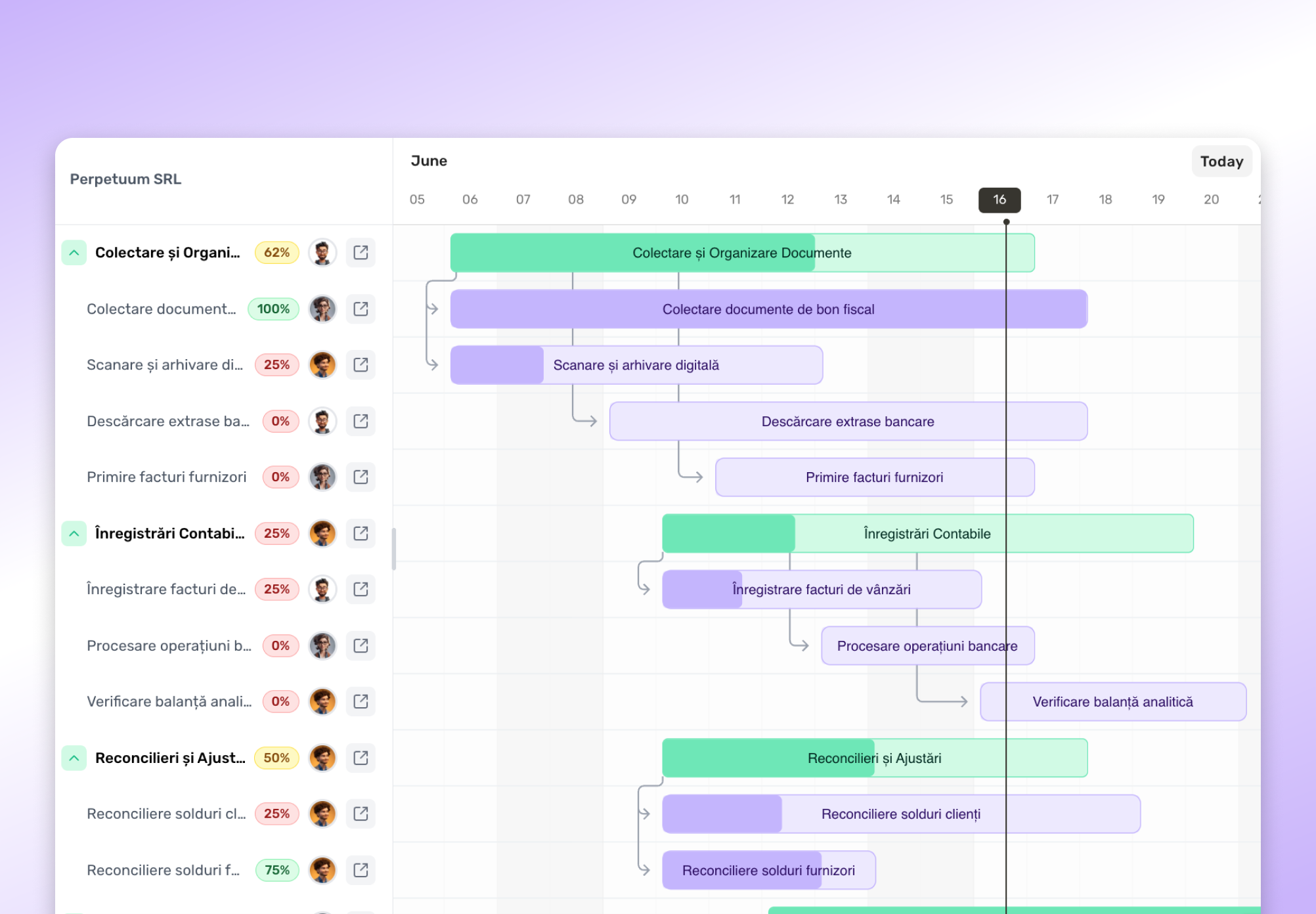 Interfață aplicație cu proiecte contabile și sarcini în echipă
