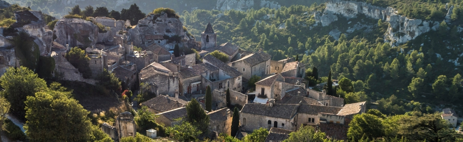 Traitement anti moustique extérieur écologique en Provence par les experts Biobelt, entreprise de démoustication professionnelle.