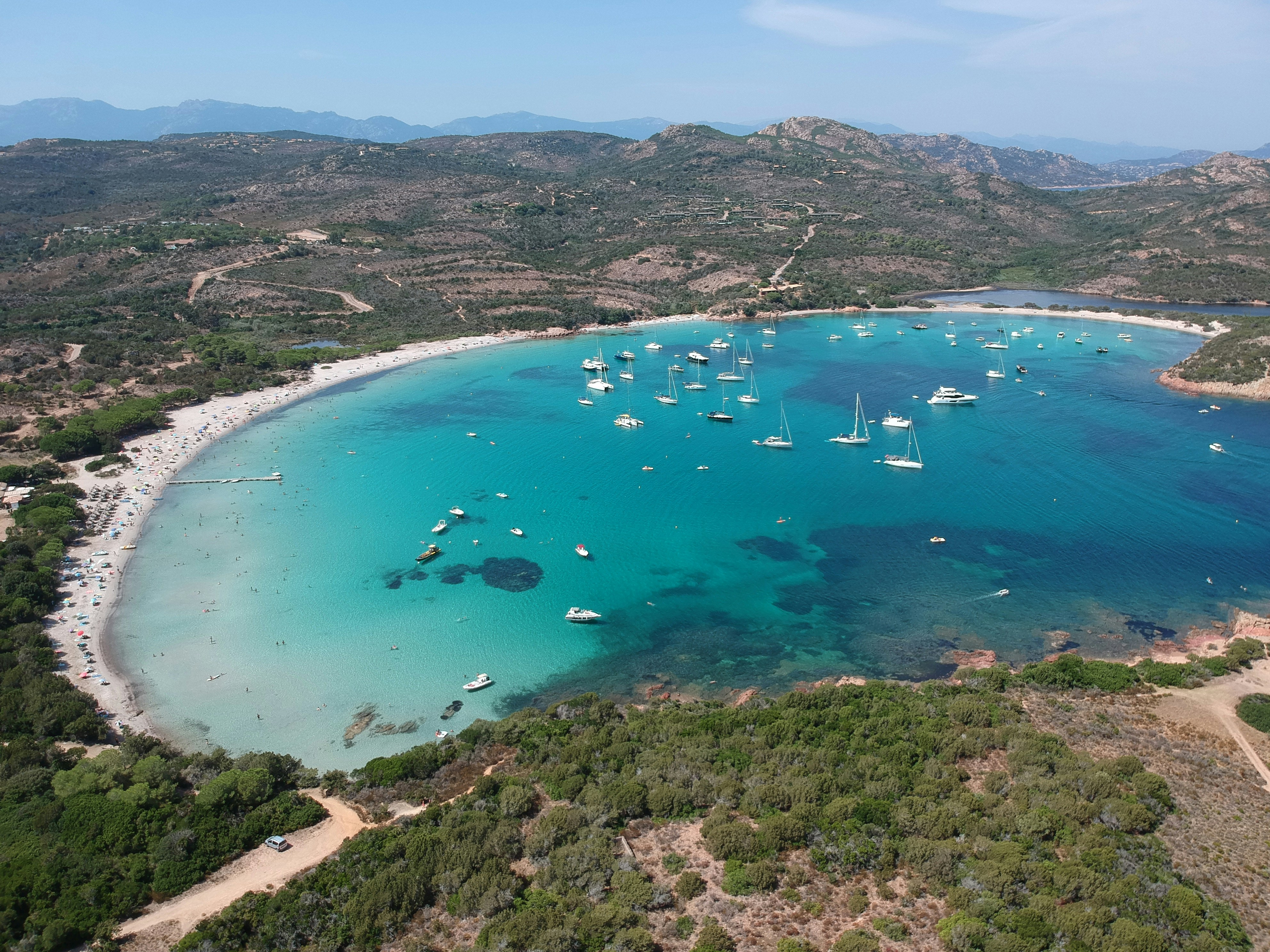 Traitement anti moustique extérieur écologique en Corse par les experts Biobelt, entreprise de démoustication professionnelle.