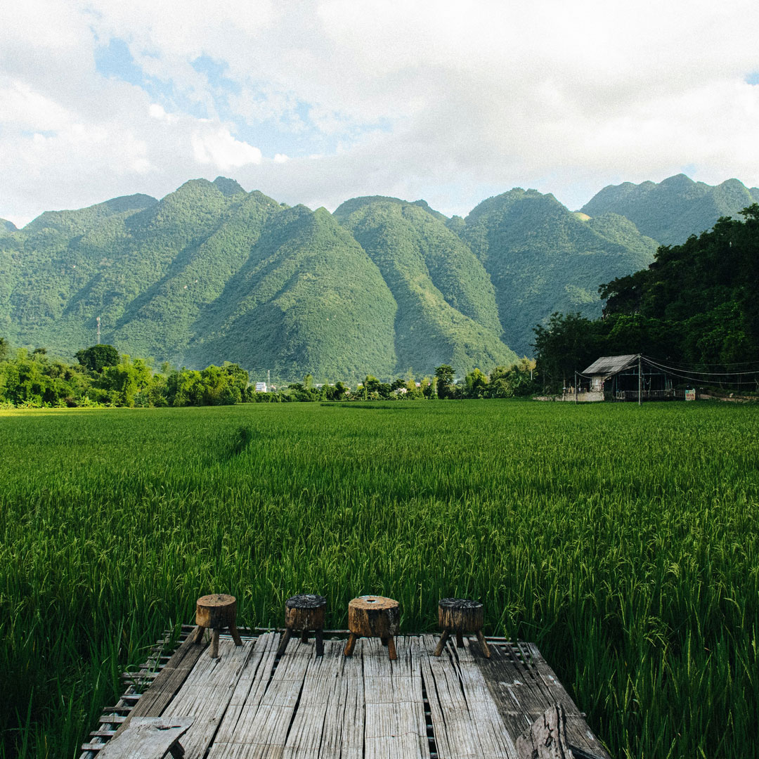 Vietnam – Von Saigon bis zur Halong-Bucht im September