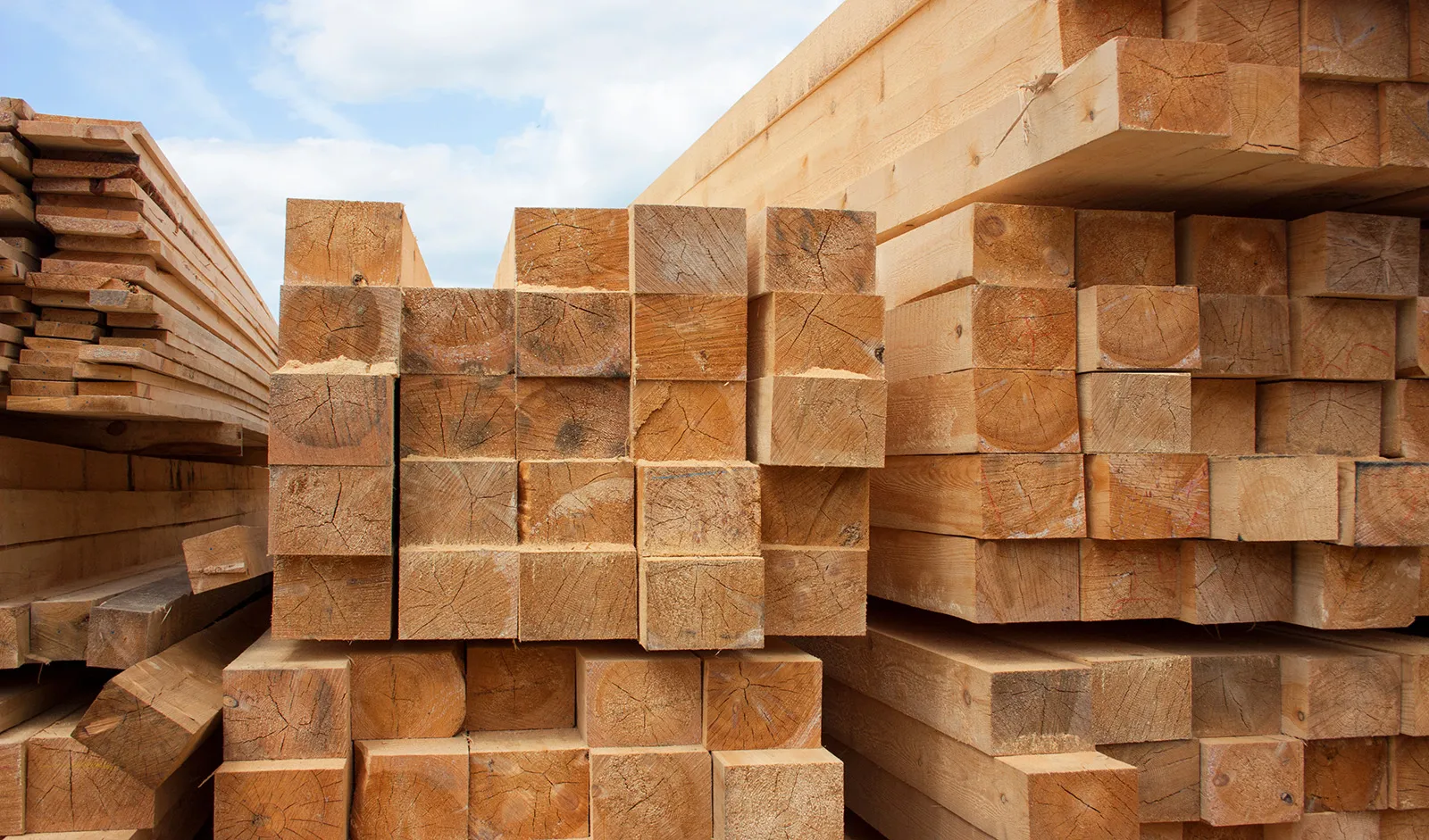 Blocks of timber piled up.