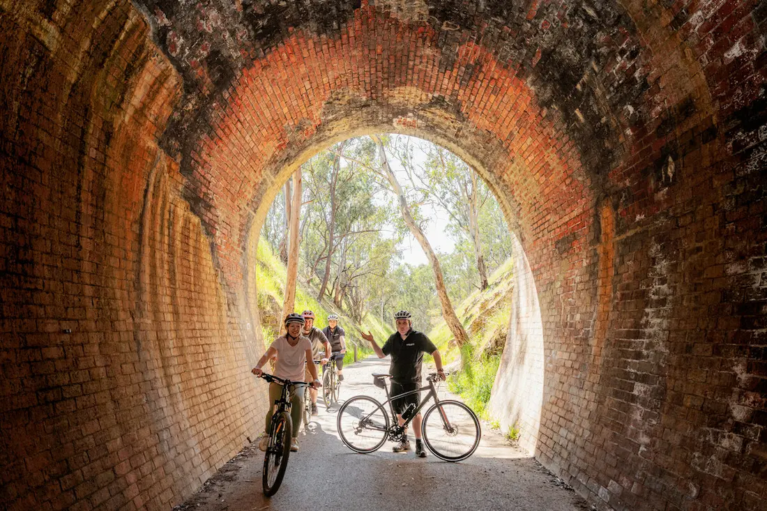 Bikers under the GVRT trail