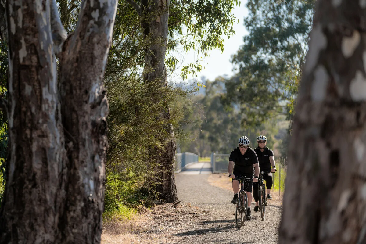 Bikers under trees