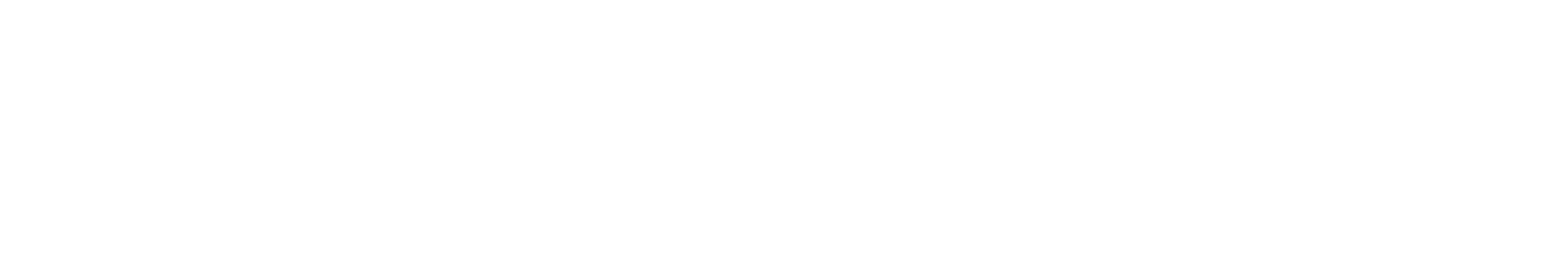 Double Black Alpine logo